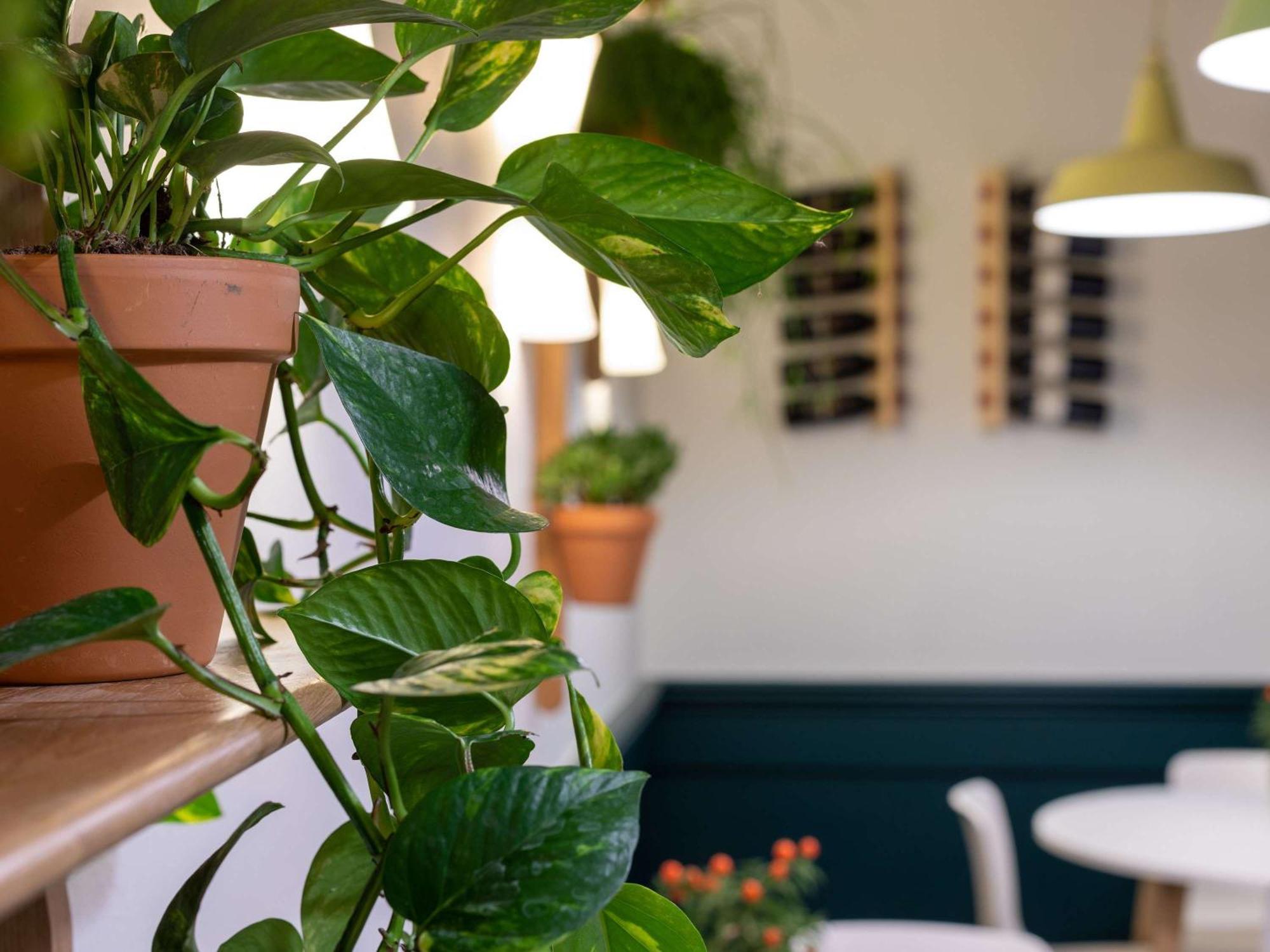 Ibis Dunkerque Ξενοδοχείο Δουνκέρκη Εξωτερικό φωτογραφία
